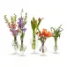 Verre Set of 5 Fluted Vases Hand-Blown Glass