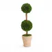 31 1/2" Preserved Boxwood Double Ball Topiary in Planter Boxwood/Terracotta