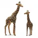 Set of 2 Standing Giraffes