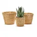Bati Set of 3 Conical Baskets Cane