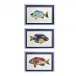 Fish Collage, Set of 3