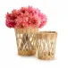 Set of 2 Wicker Vases Includes 2 Sizes