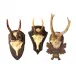 The Hunt Club Set of 3 Antler Trophy Reproductions Resin