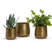 Set of 3 Casbah, Antique Gold Etched Planter Recycle Aluminum