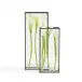 Windows Set of 2 Square Vases with Black Trim In 2 Sizes Glass/Metal