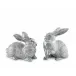 Morning Hunt Wild Hare Salt And Pepper Set