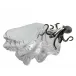 Sea And Shore Octopus On Clam Shell Bowl Large
