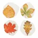 Autunno Assorted Salad Plates - Set of 4