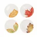 Autunno Assorted Canape Plates - Set of 4