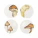 Autunno Assorted Mushroom Canape Plates - Set of 4