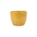 Viva Garden Amber Embossed Leaves Cachepot
