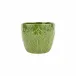 Viva Garden Green Embossed Leaves Cachepot 7.5"D, 6.25"H