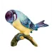 Passaros Titmouse