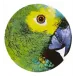 Olhar O Brasil Charger Plate Parrot