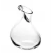 Ruby Case With Decanter With Spoon