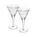 Astro Set With 2 Martini