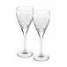 Astro Set With 2 White Wine Goblets