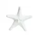 Sea Creatures Starfish White L9.2 x H8.5 Cm