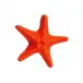 Sea Creatures Starfish Orange L9.2 x H8.5 Cm