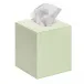 Faux Leather Tissue Box Von Gern Home x Dragons Of Walton Street Light Green