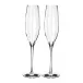 Elegance Optic Classic Champagne Flute 10.1 oz Set of 2