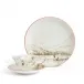 Voyage of the Beagle Darwin Brazil Teacup Saucer Plate, 3 Pieces