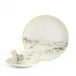 Voyage of the Beagle Darwin Uruguay Teacup Saucer Plate, 3 Pieces