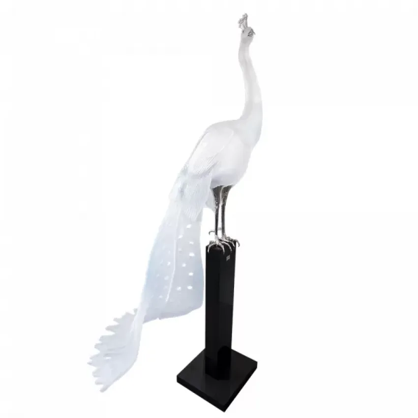 White Peacock by Madeleine Van Der Knoop (Special Order)
