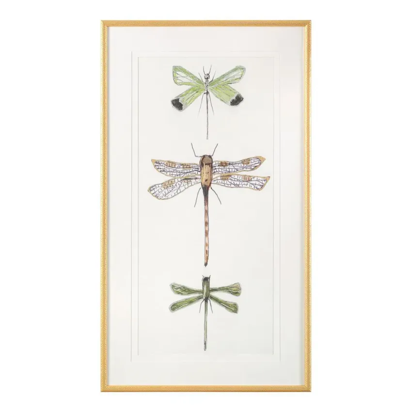 Joy Colangelo's Joyful Dragonflies I 59.25"H X 33.25"W X 1.5"D