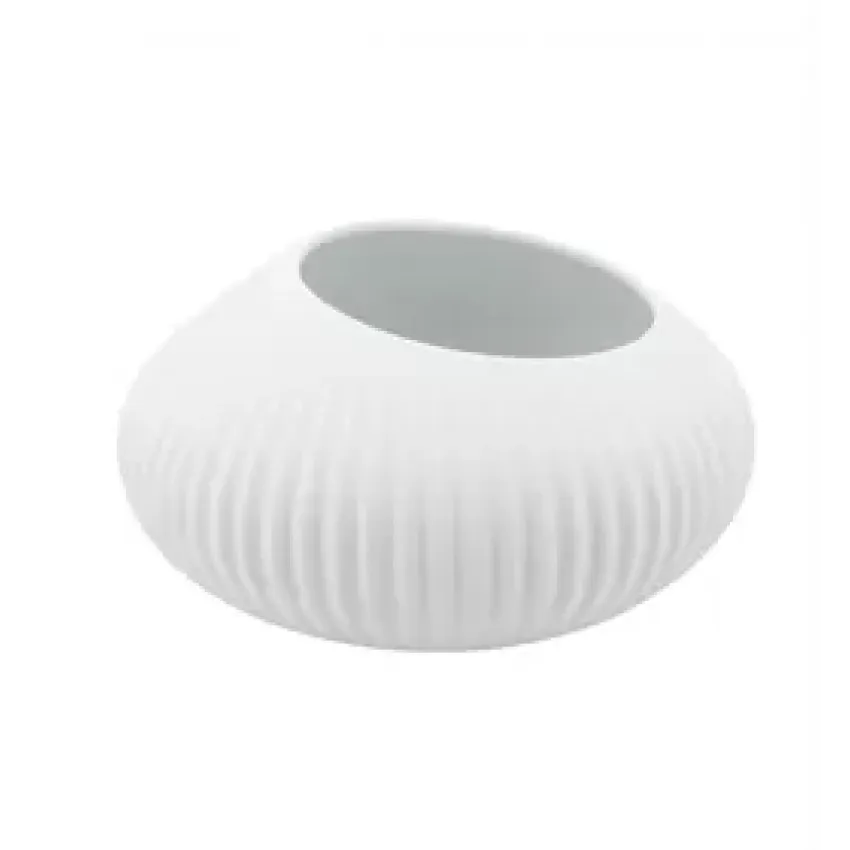 Shell White Bowl