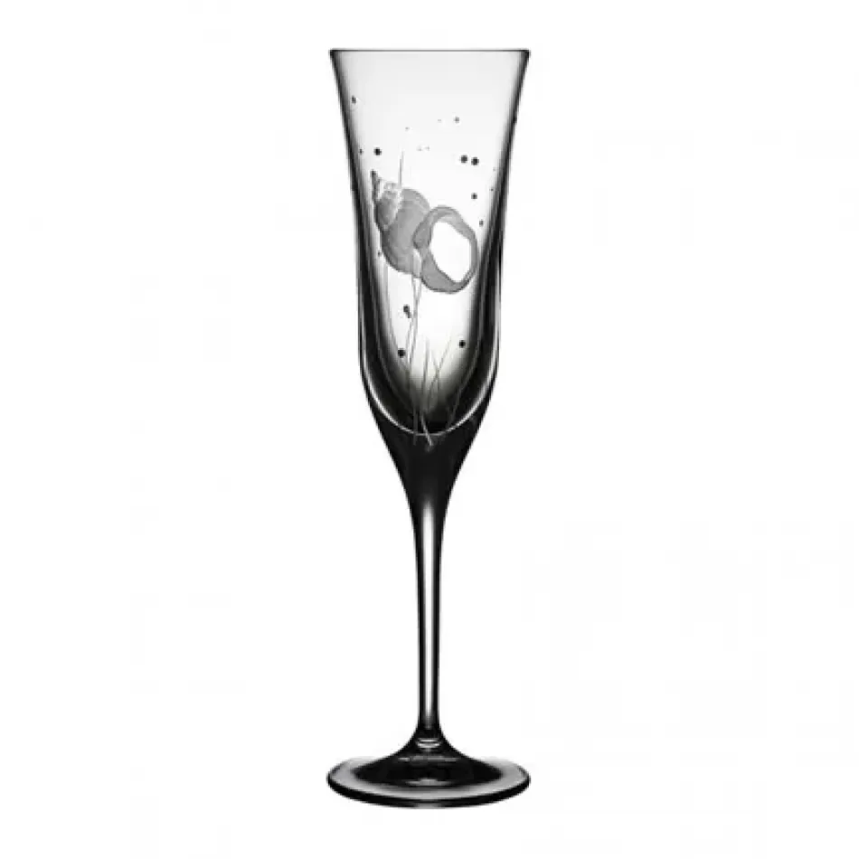 Pacifica Shell Clear Champagne Flute