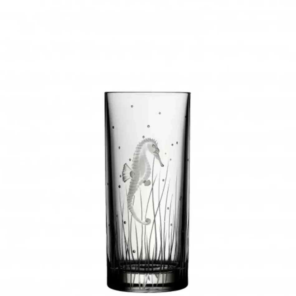 Pacifica Seahorse Clear Highball