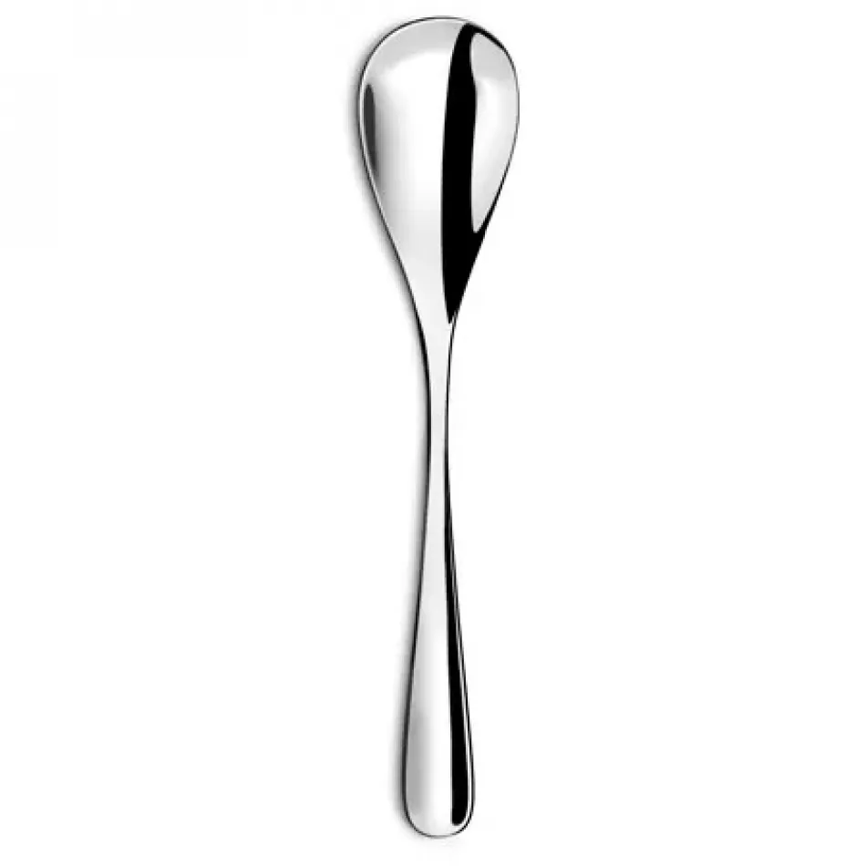 Eole Stainless Serving Spoon