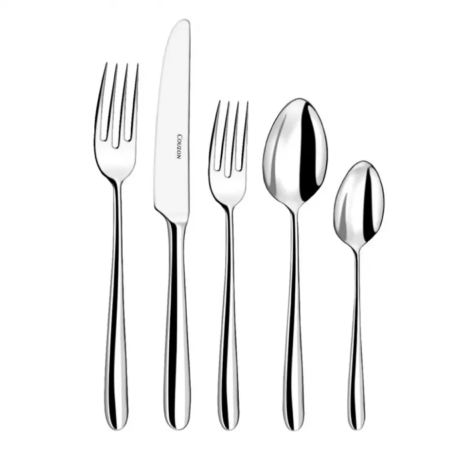 Fusain Stainless 5 Pc Setting (Table Knife, Table Fork, Dessert/Salad Fork, Dessert/Soup Spoon, Tea Spoon)