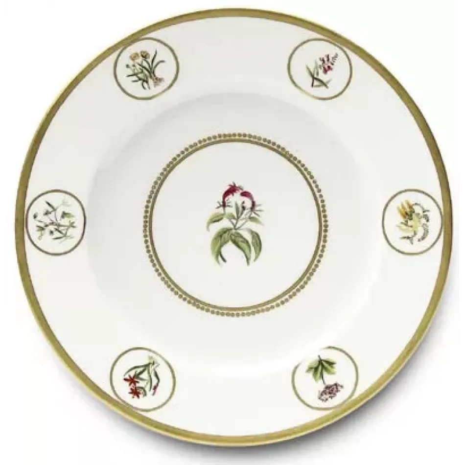 Botanique Dinner Plate 10.25 in Rd