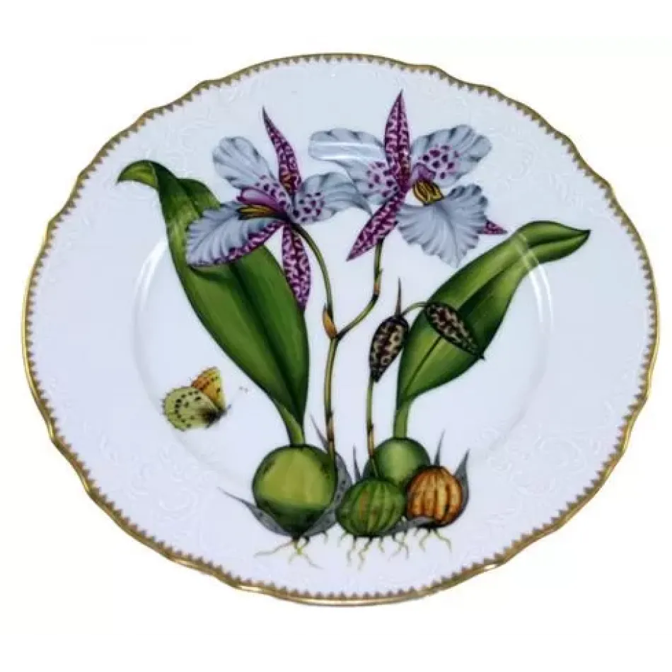 Orchid Dinner Plate #2 10.5 in Rd