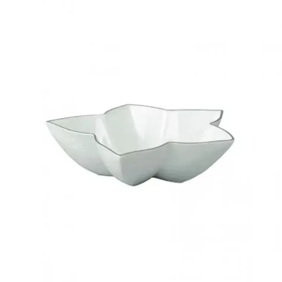 Mineral Filet Platinum Star Cup White inside Diam 7.7 in