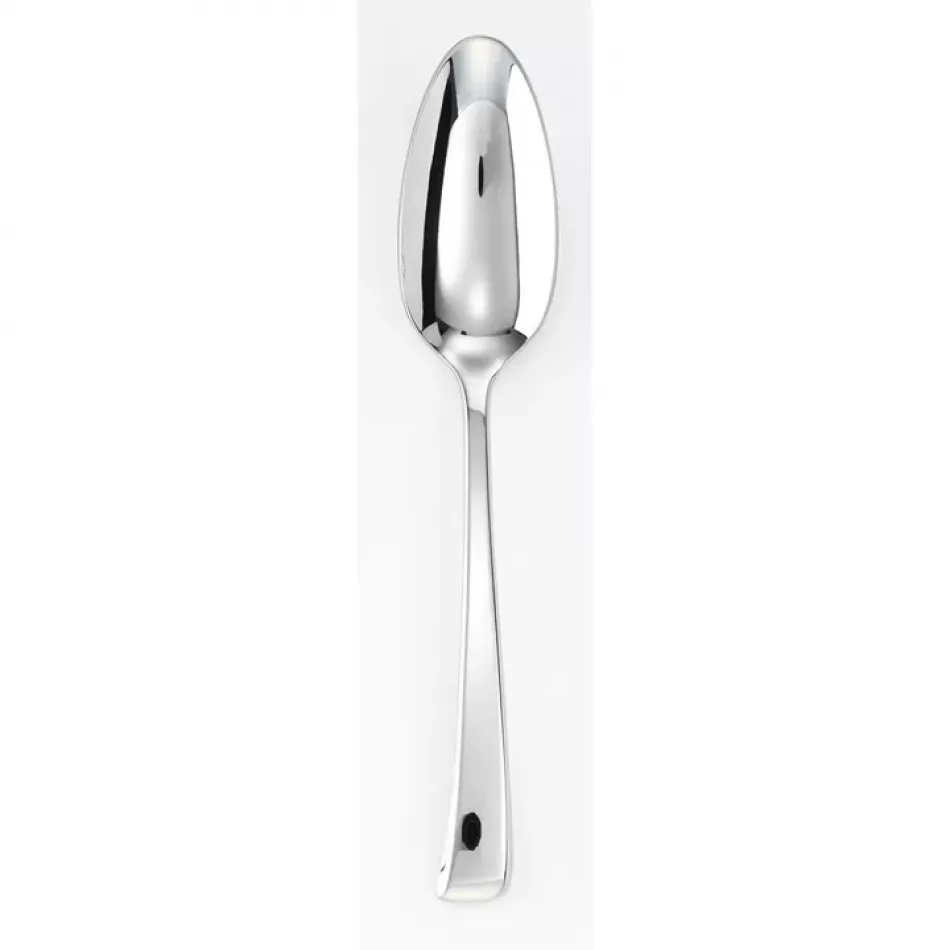 Imagine Serving Spoon 10 1/4 In 18/10 Stainless Steel