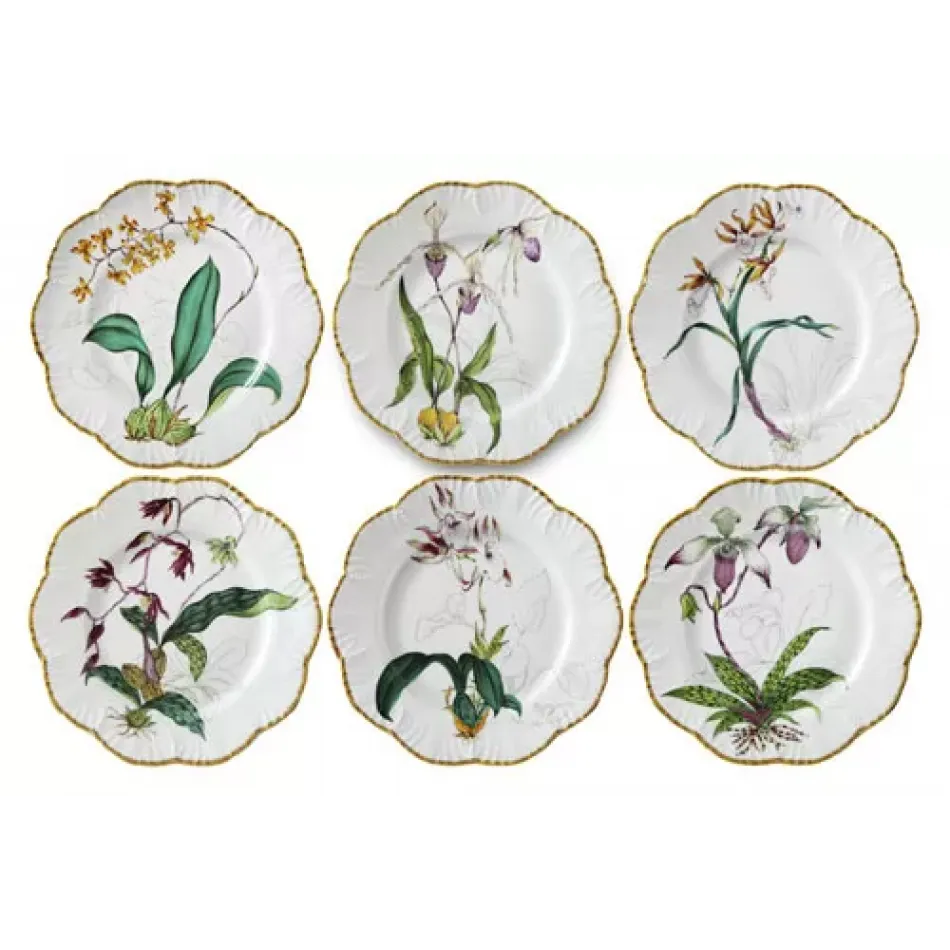 Histoire D'Orchidees Dinnerware