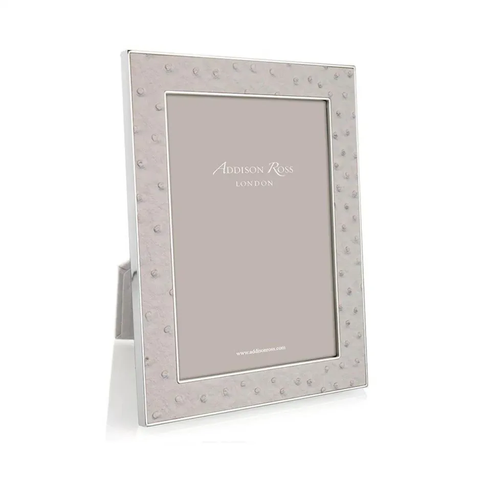 Ostrich Mist Silver Picture Frame 4 x 6 in