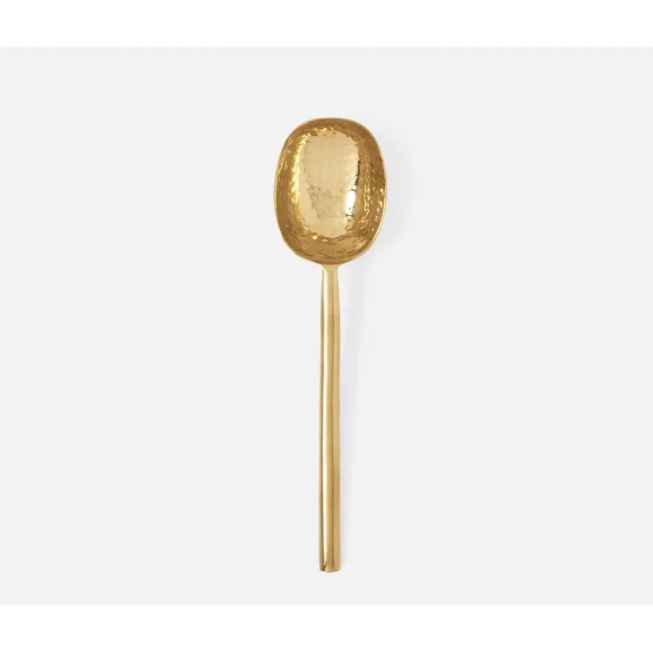 Jupiter Polished Gold, Serving Spoon, Metal, Medium, Pack of 2
