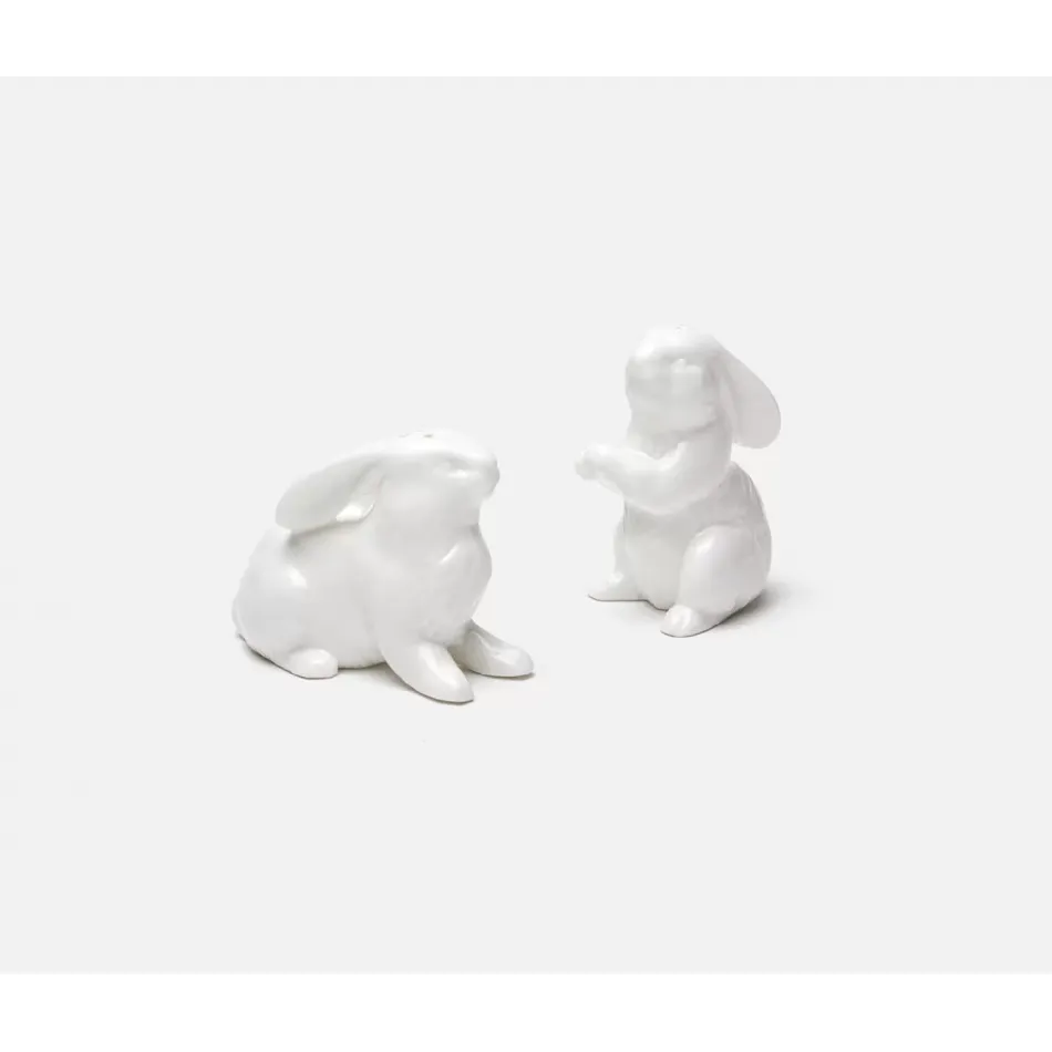 Felicity White, 1 Set of Salt & Pepper Shakers, Porcelain, Boxed