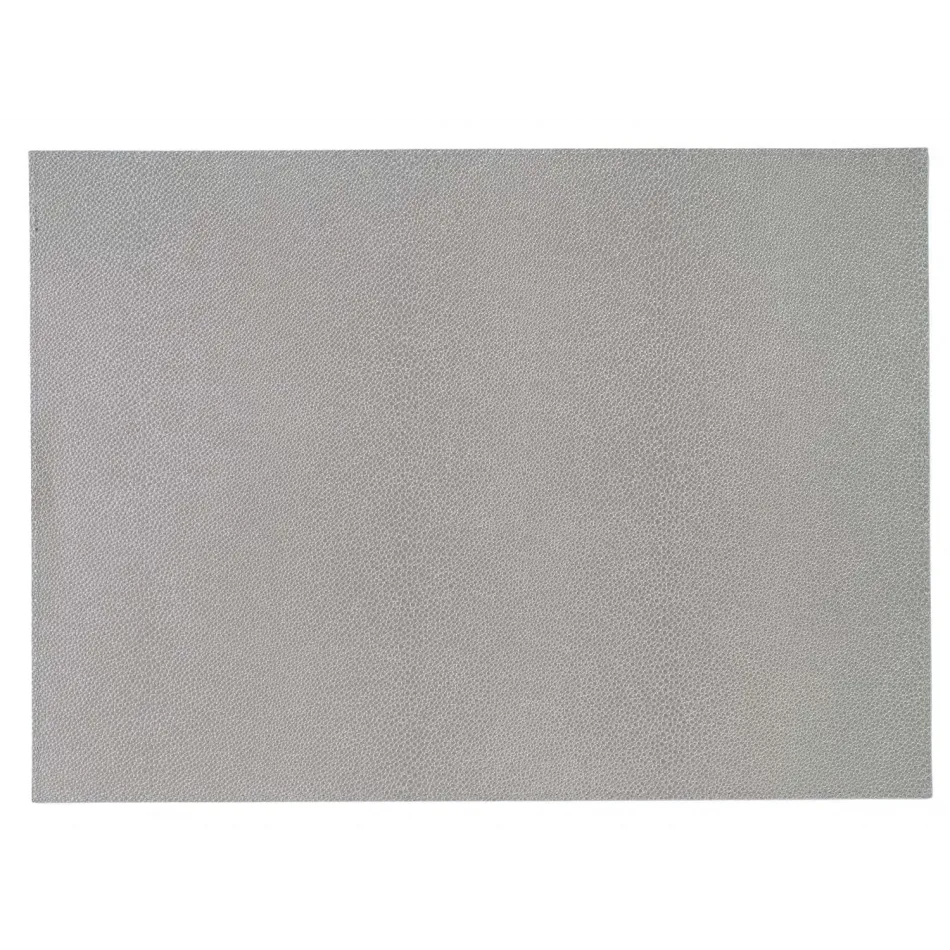 Skate Gray 13x18" Placemat, Set of 4