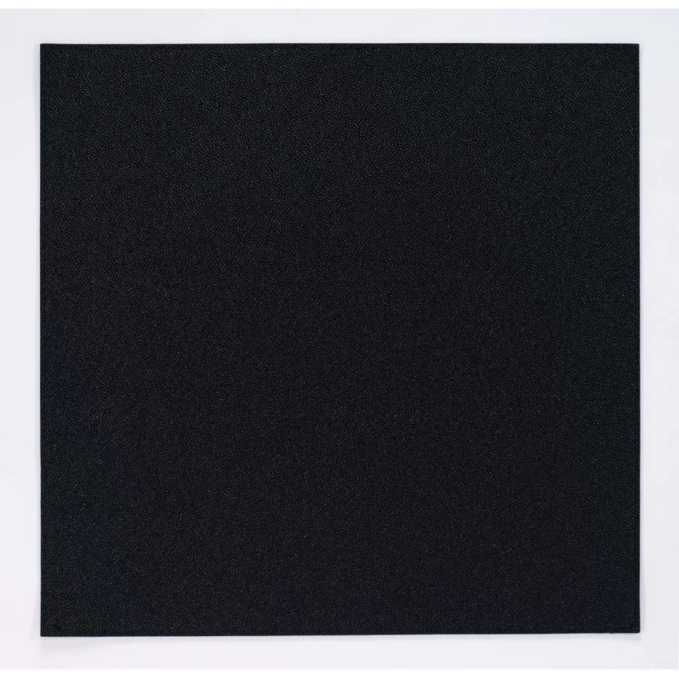 Skate Black 15" Square Placemat, Set of 4