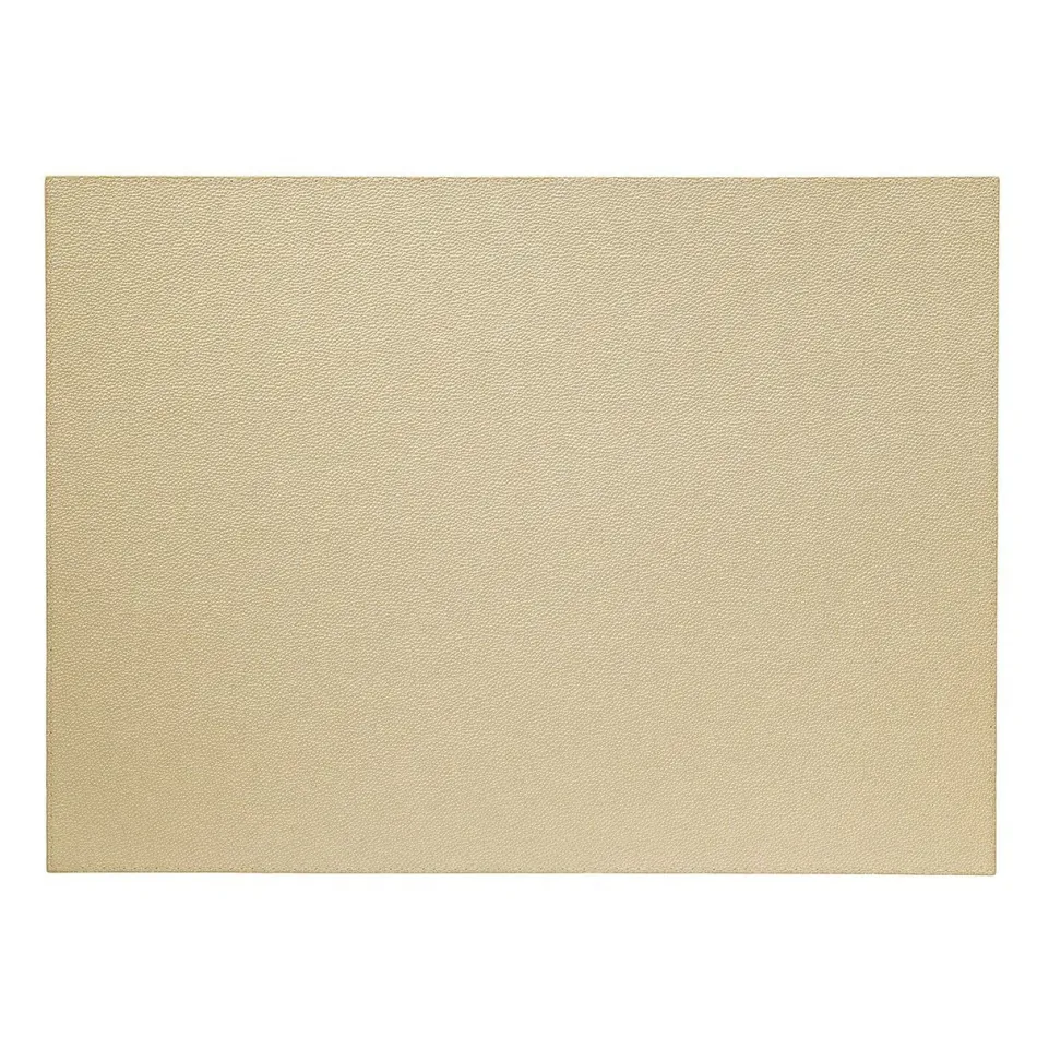 Skate Champagne 13" x 18" Rectangle Placemat, Set of 4