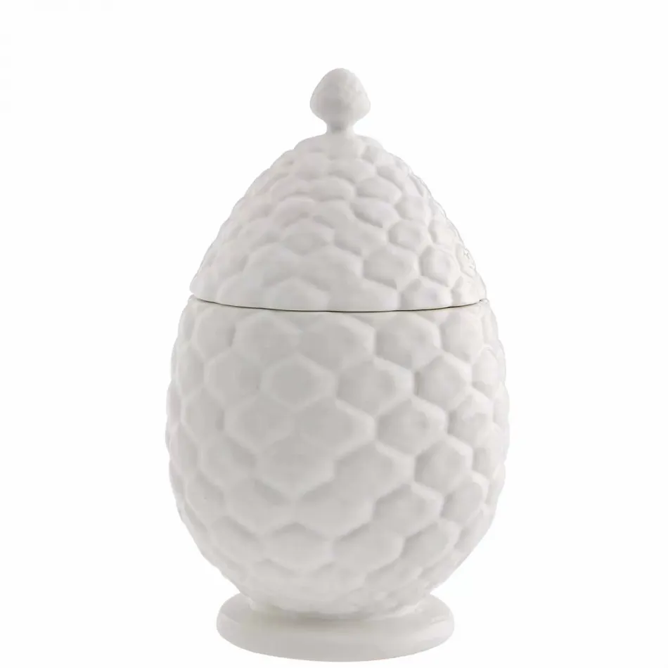 Pine Cone White Box 24 White