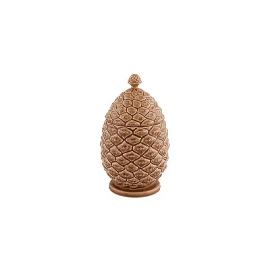 Pine Cone Box 20 Brown