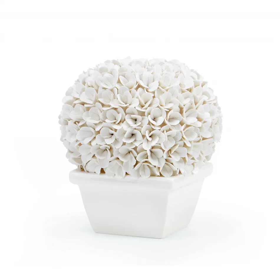 Boston Round Boxwood Topiary Blanc de Chine