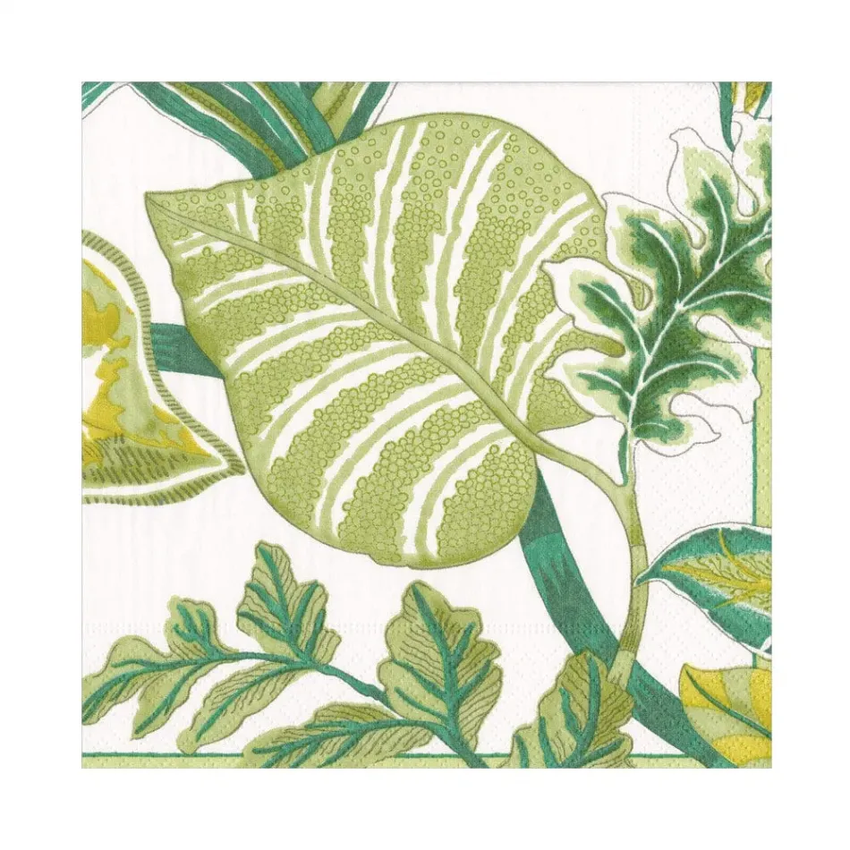 Florida Ivory Luncheon Paper Napkins, 20 per Pack