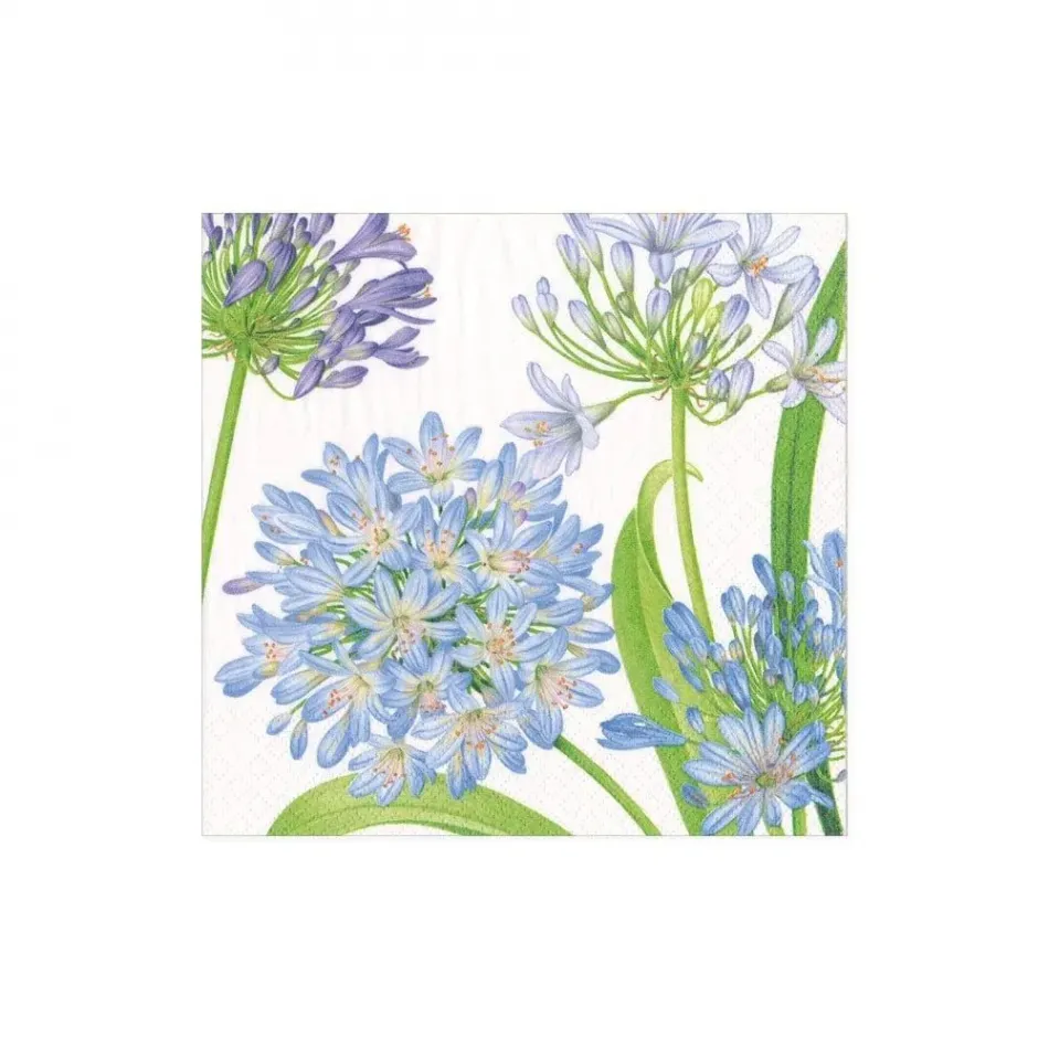 Agapanthus Garden Boxed Paper Cocktail Napkins, 40 per Box
